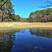 Teich am Kraaker Mühlenbach