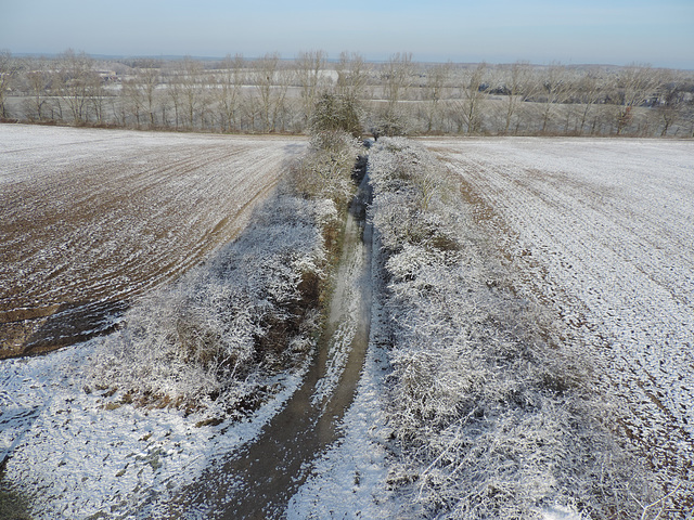 Feld mit Vogelschutzhecken