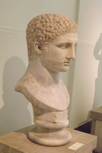 Young Hercules Bust in the Naples Archaeological Museum, July 2012