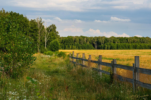 Where the field ends