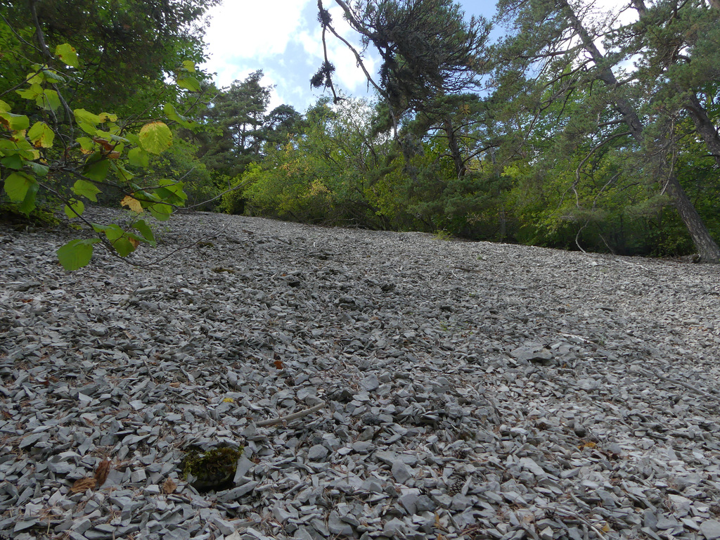 20190826 -0908 Diois (809)