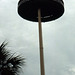Rundum übersicht im Cypress Gardens in Florida