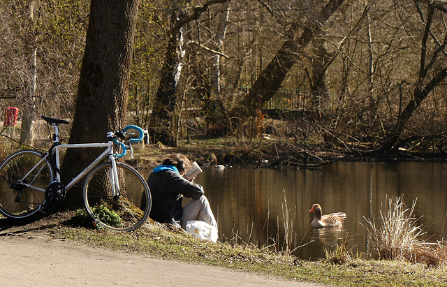 Geschichtenvorleser für eine Gans - * - * - * - * -  Reading Storys to a Goose Geschichtenvorleser für eine Gans - * - * - * - * -  Reading Storys to a Goose