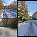 Wykeham Forest roads in Winter (3 x Pips)