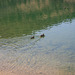 IMG 0787