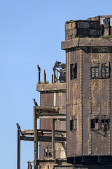 cormorant apartments