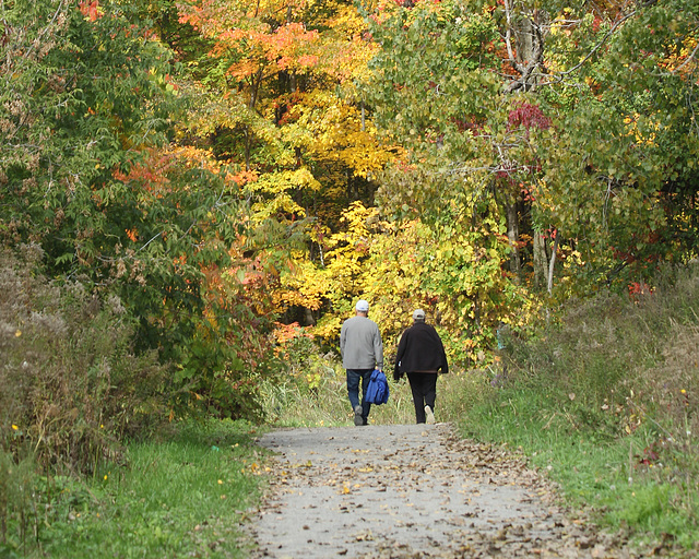 autumn walk