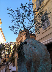 Arbres de la Cote d'Azur.