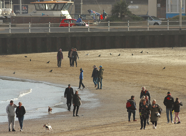 EOS 90D Peter Harriman 13 37 26 04333 beachInFeb dpp