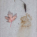 Leaf, sidewalk, dark day, redux