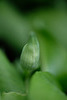 DSCF5621