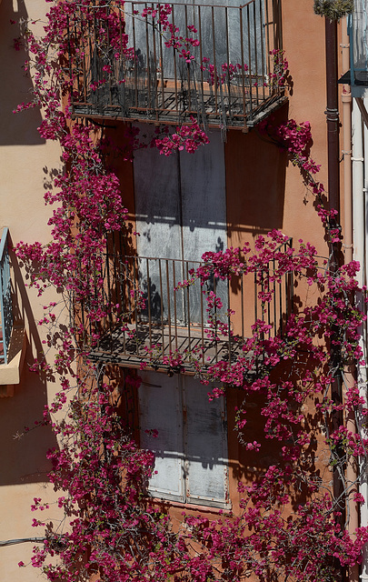 Bedecked fences in Cannes