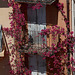 Bedecked fences in Cannes