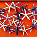 sea stars for sale