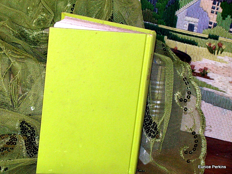 Lime Green Book Cover