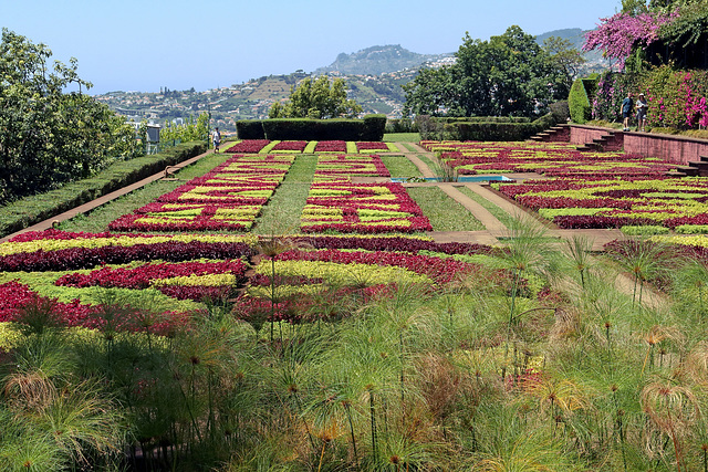 Funchal - Der "Jardim Botânico" (20)