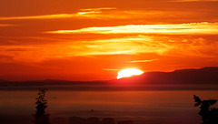 DSCF4203-4