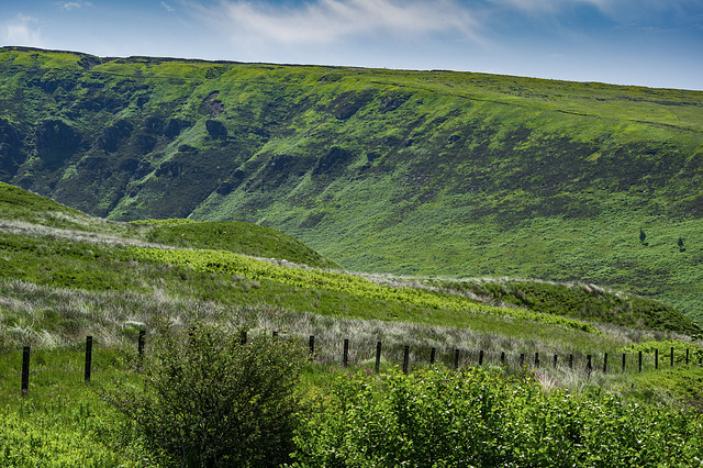 Torside Clough