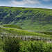 Torside Clough