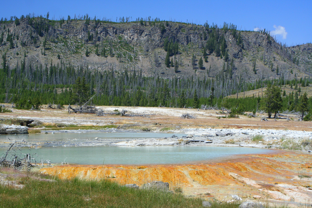 Black Opal and Wall Pools