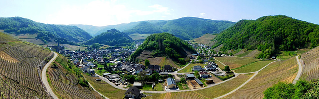 DE - Mayschoß - Panoramablick