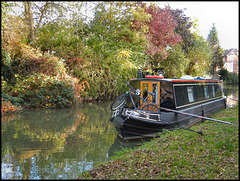 shades of autumn on the canal
