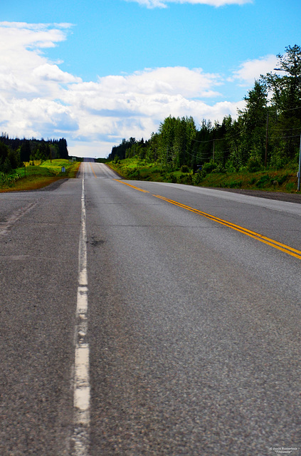 Canada Tour Cariboo Highway