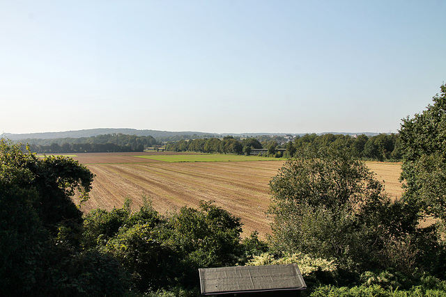 Blick über das Feld an der Ergster Ruhraue (Schwerte) / 9.09.2023