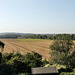 Blick über das Feld an der Ergster Ruhraue (Schwerte) / 9.09.2023