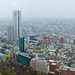 Tokyo vu depuis le siège du gouvernement métropolitain
