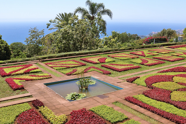 Funchal - Der "Jardim Botânico" (21)