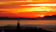 DSCF4209-7