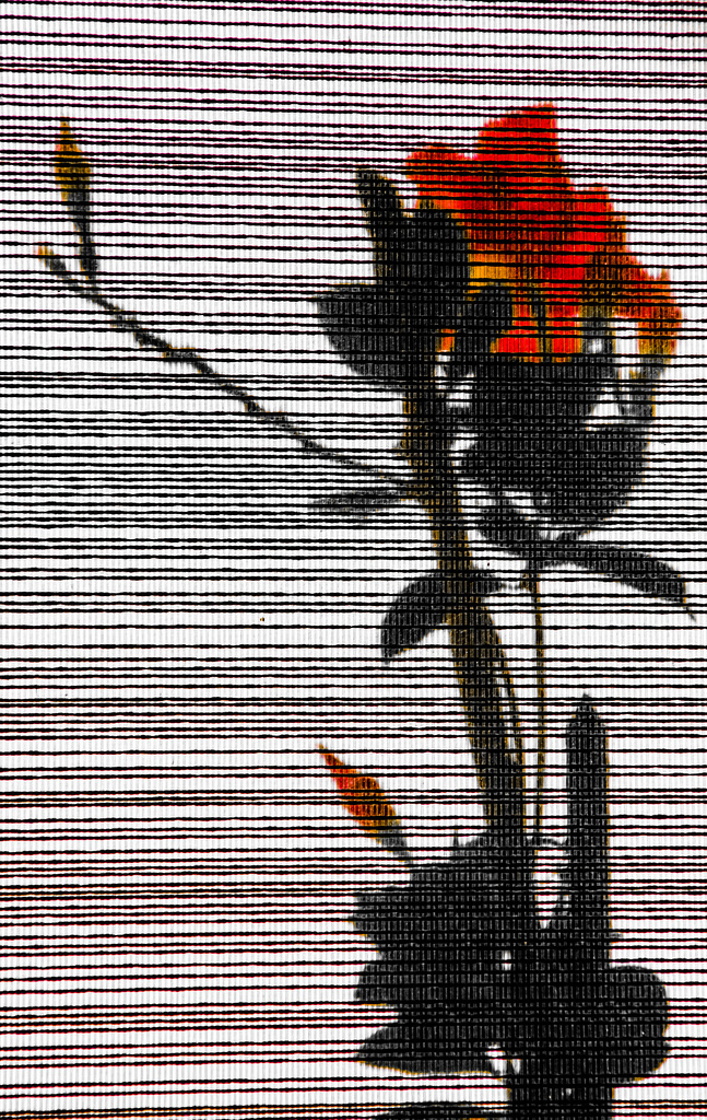 Through the Curtain