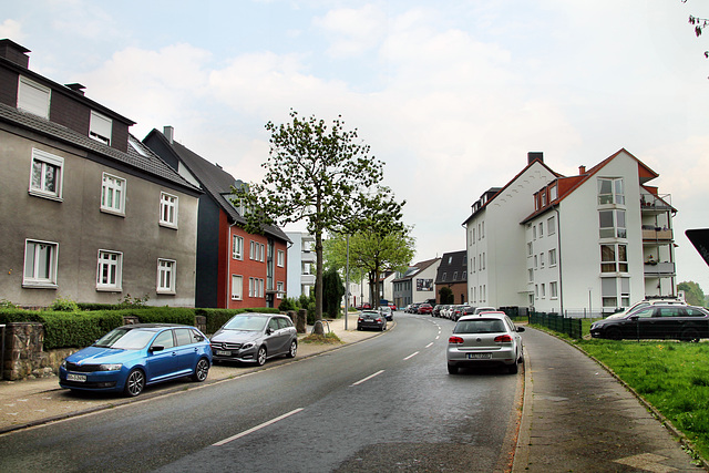 Laerfeldstraße (Bochum-Laer) / 7.05.2022