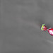 fliegendes Bonbon