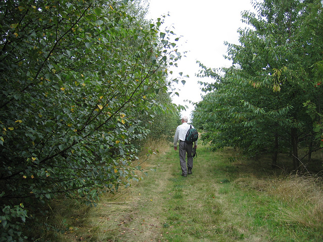 Path from Grangewood Farm through the new platations of the National Forest (2006)