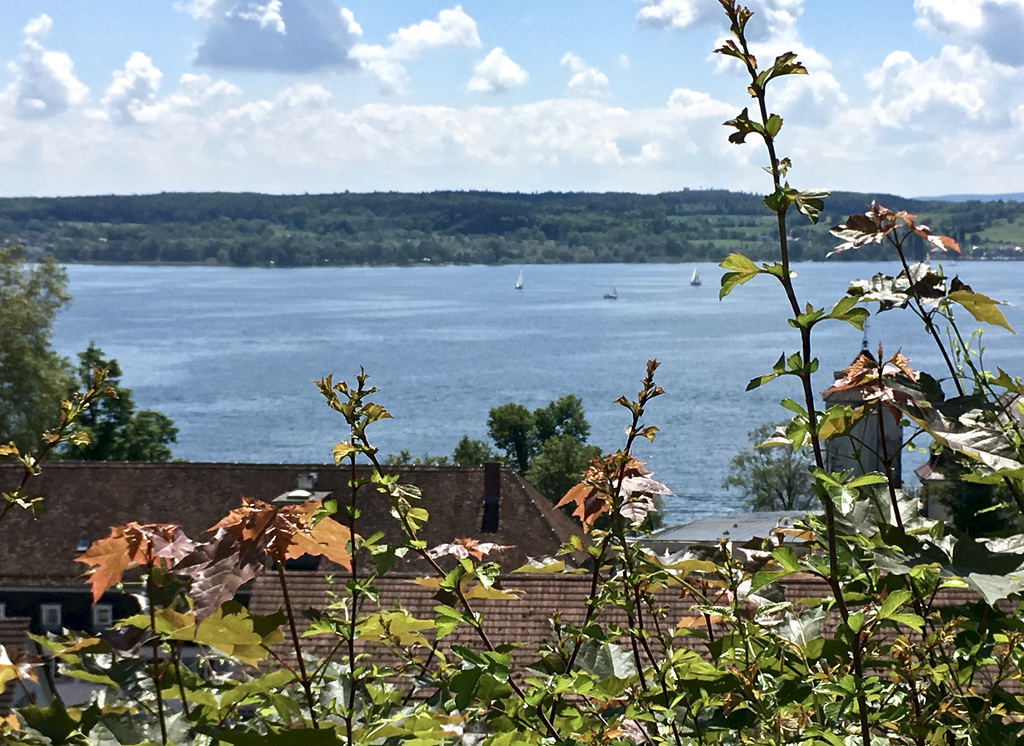 Der Bodensee