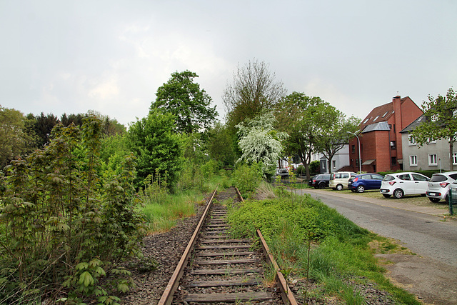 Verwildertes Werksbahngleis (Bochum-Laer) / 7.05.2022