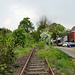 Verwildertes Werksbahngleis (Bochum-Laer) / 7.05.2022