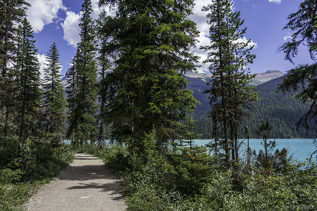 Emerald Lake (© Buelipix)