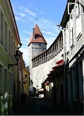 Stadtmauer und Wehrturm