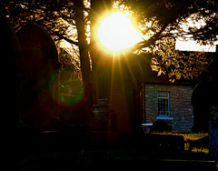 Catching The Light. Wallsend Cemetery