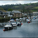 River Dart, Totnes