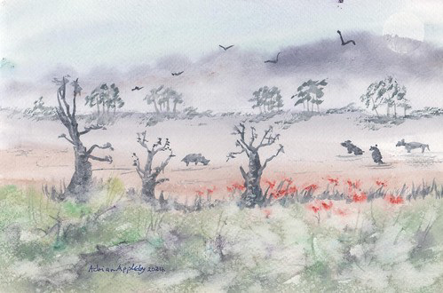 Cows and Poppies