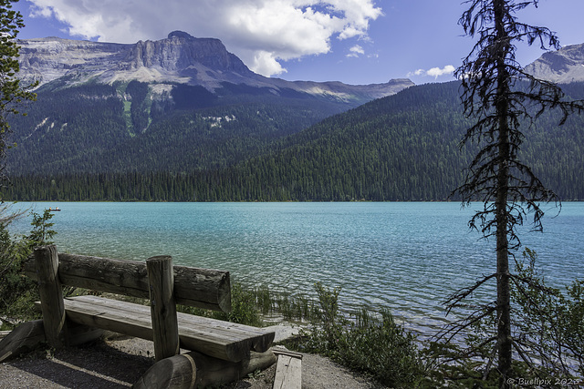 Emerald Lake ... P.i.P.  (© Buelipix)