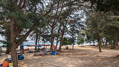 Ambiance de plage avec parasols assortis