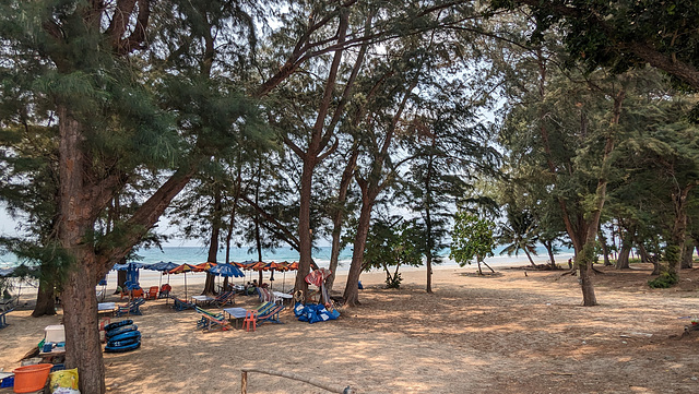 Ambiance de plage avec parasols assortis