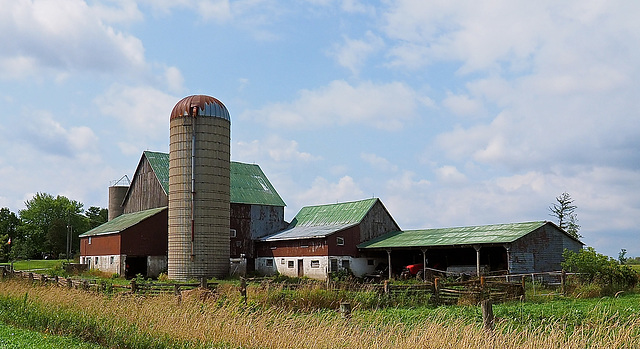 Old Farm.