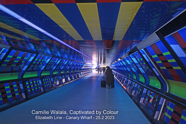 'Captivated by colour' by Camille Walala - Canary Wharf - 25 2 2023