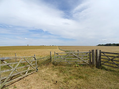 Happy Fence Friday Happy Fence Friday